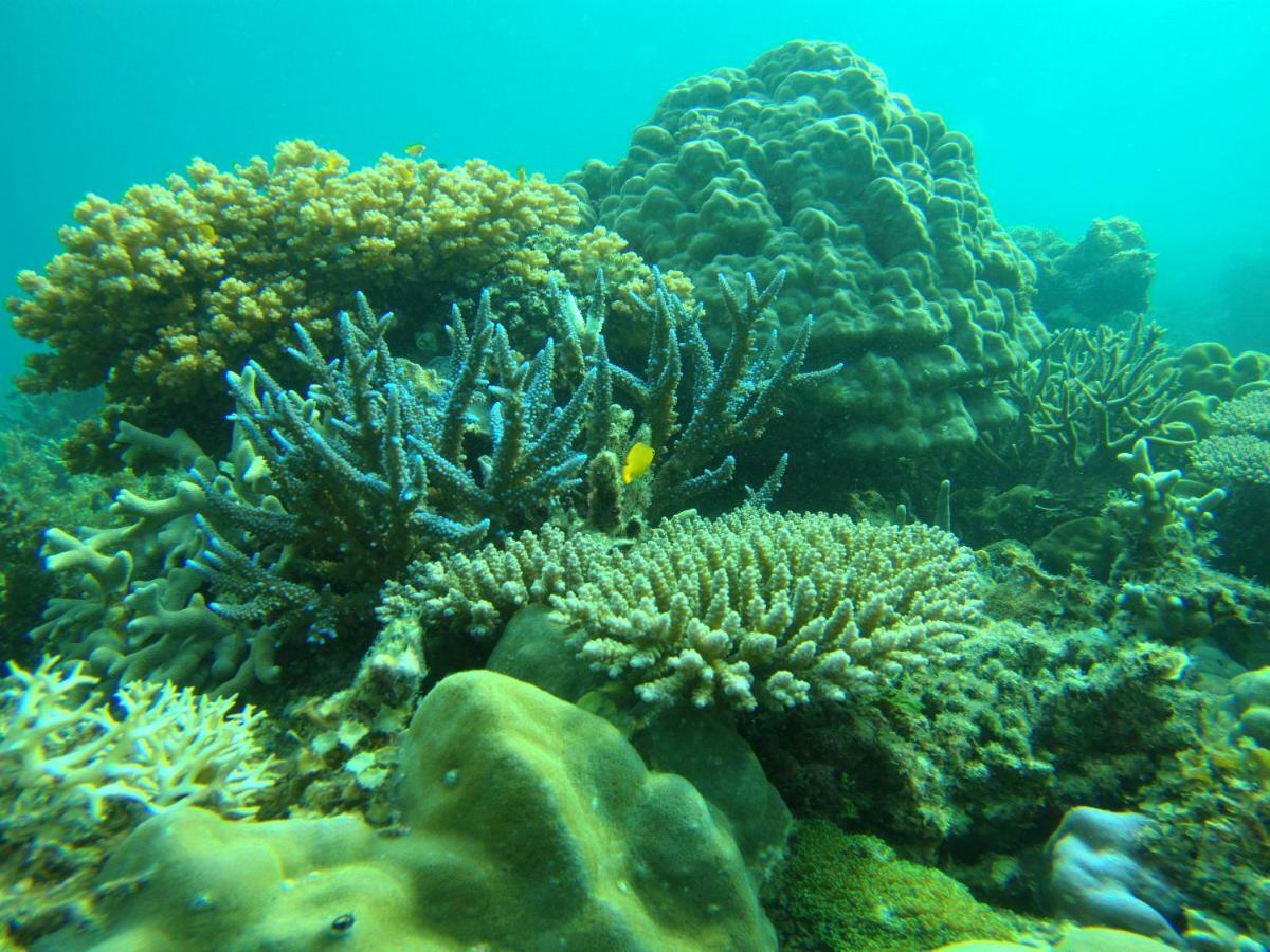 Playa Encantada Beach Resort เอลนิโด ภายนอก รูปภาพ